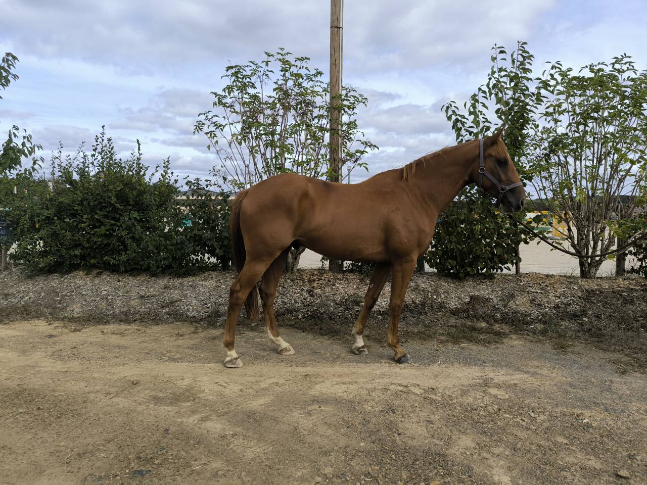 3 ans par Candy de Nantuel 