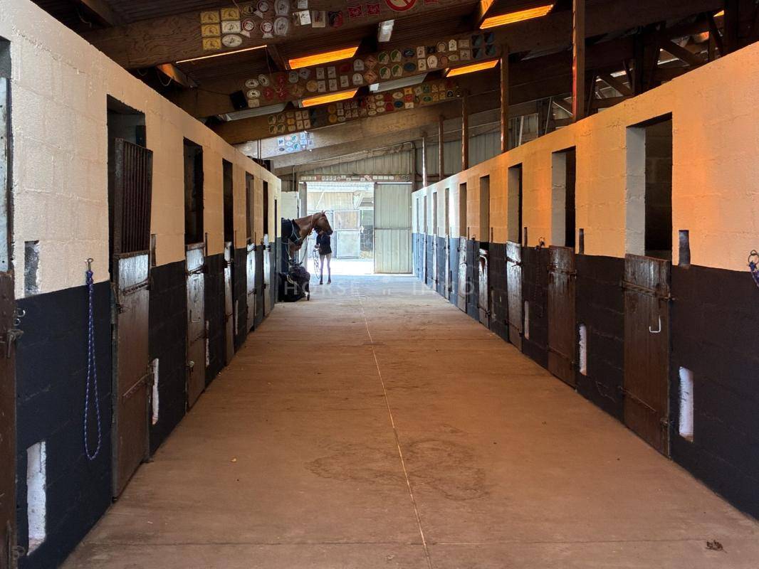 Exclusivit&eacute;, Ecurie 30 boxes, 2 man&egrave;ges, carri&egrave;re, 7 h