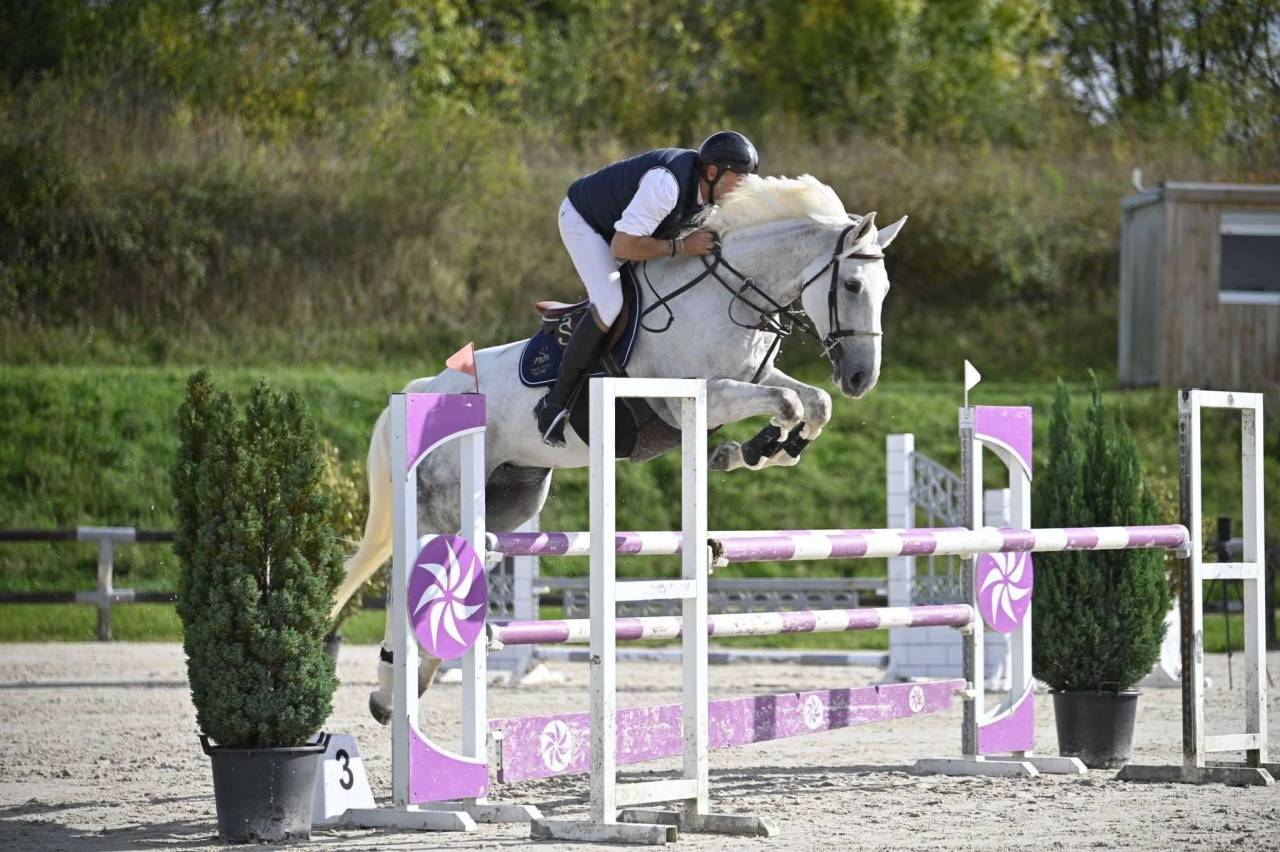 Jument de sport CSO