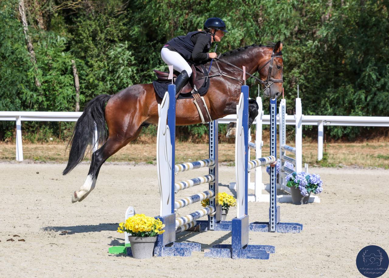 M&acirc;le PFS 5 ans 