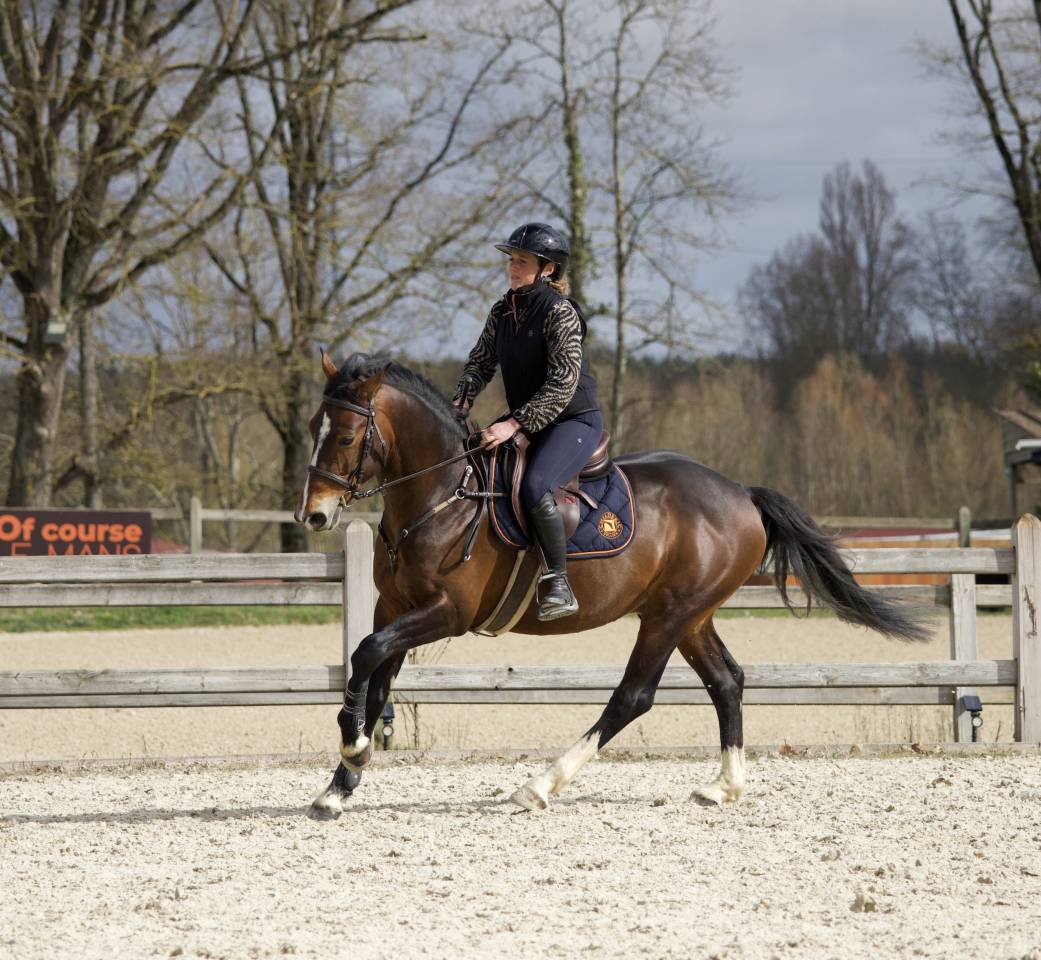 M&acirc;le PFS 5 ans 