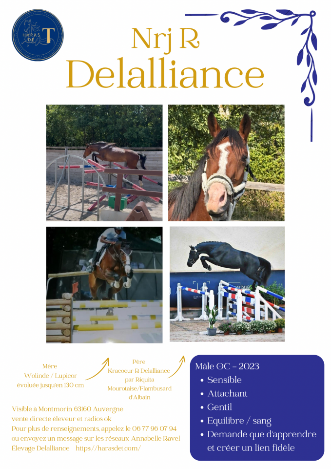 Cheval &agrave; vendre 