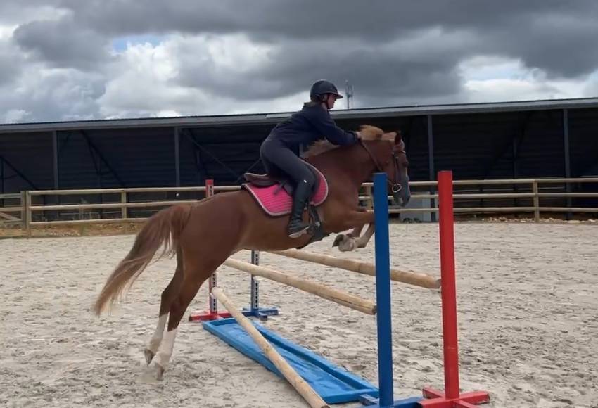 Ponette D de sport polyvalente 5 ans 1m44