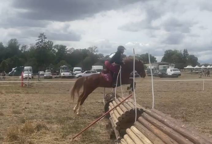 Ponette D de sport polyvalente 5 ans 1m44