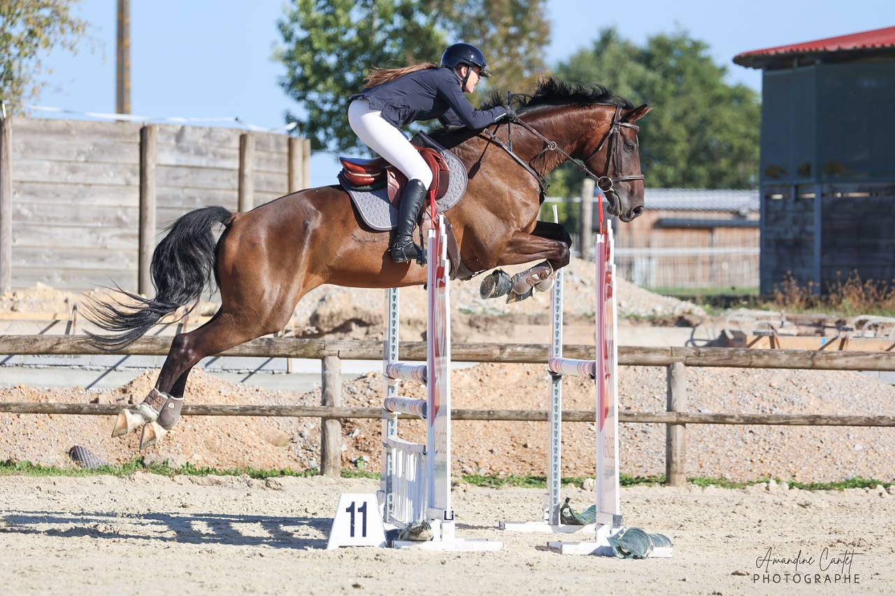 TOP HONGRE 11 ANS