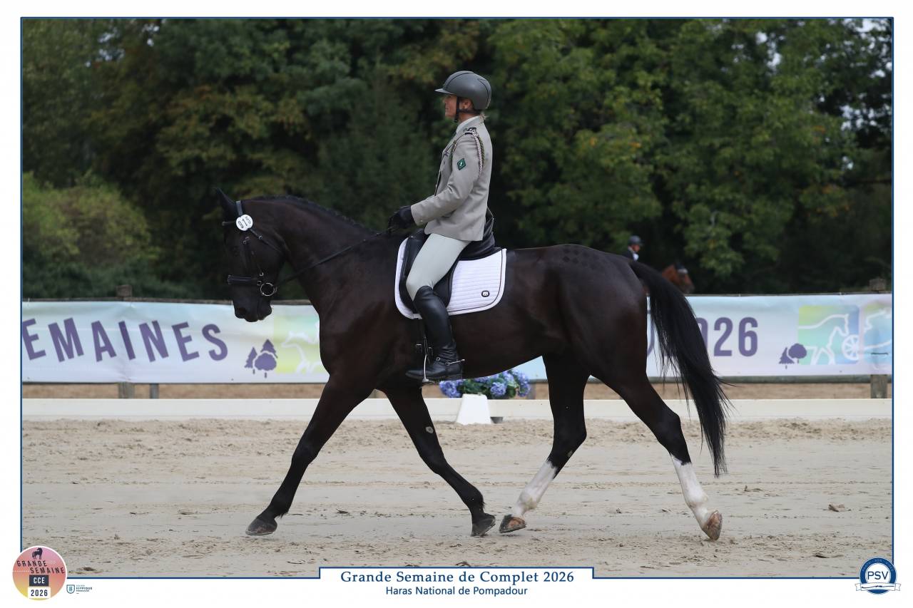 6 ans CCE CL3/am1
