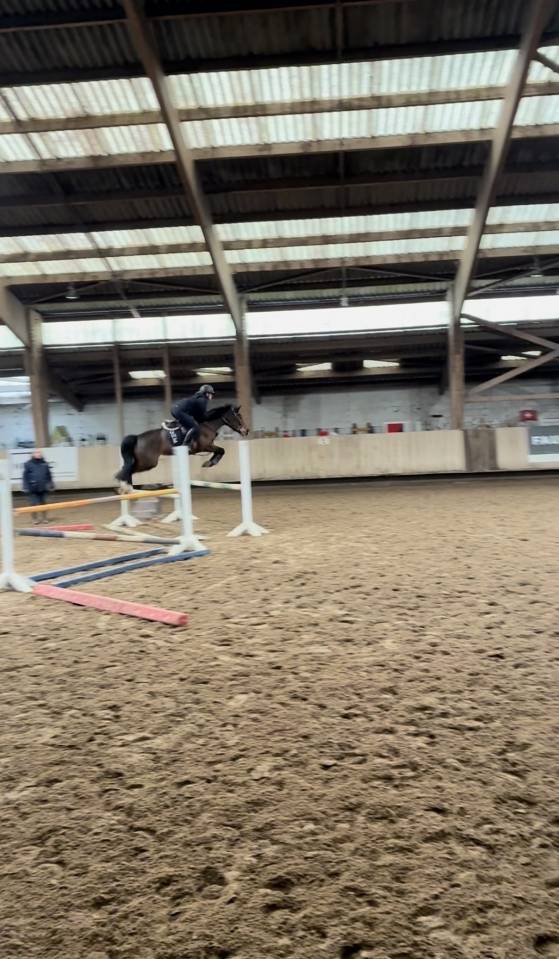 Poney de sport 