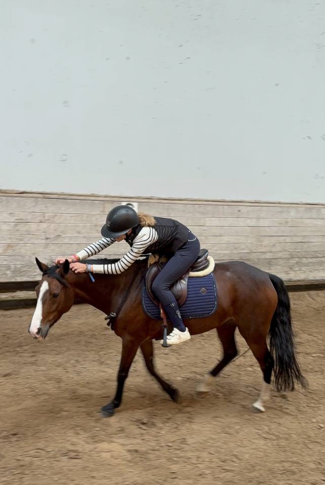 Poney de sport 