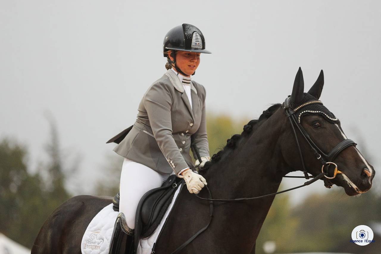 Jument hanovrienne Dressage 5 ans - DamschinoXStedinger