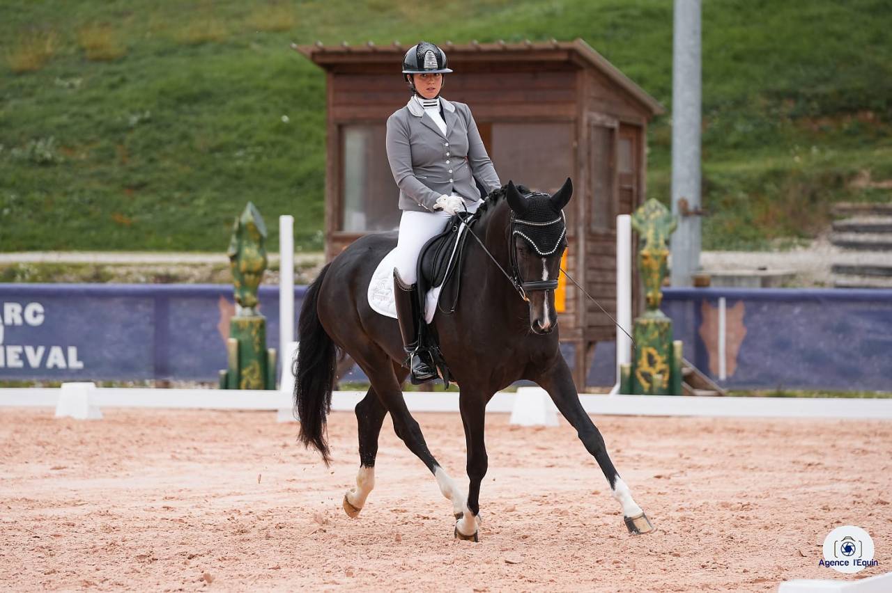 Jument hanovrienne Dressage 5 ans - DamschinoXStedinger