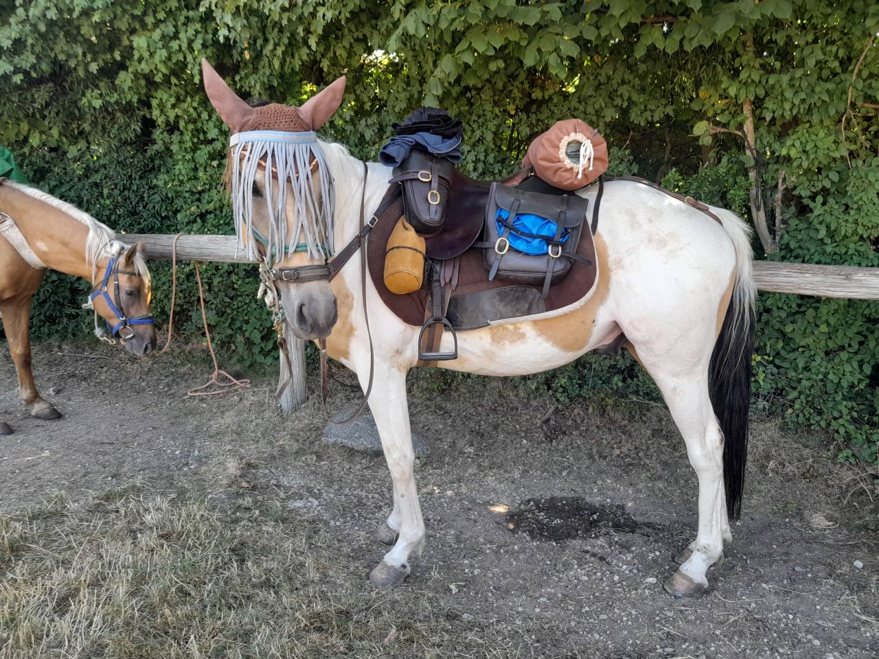 Loustik du Fays