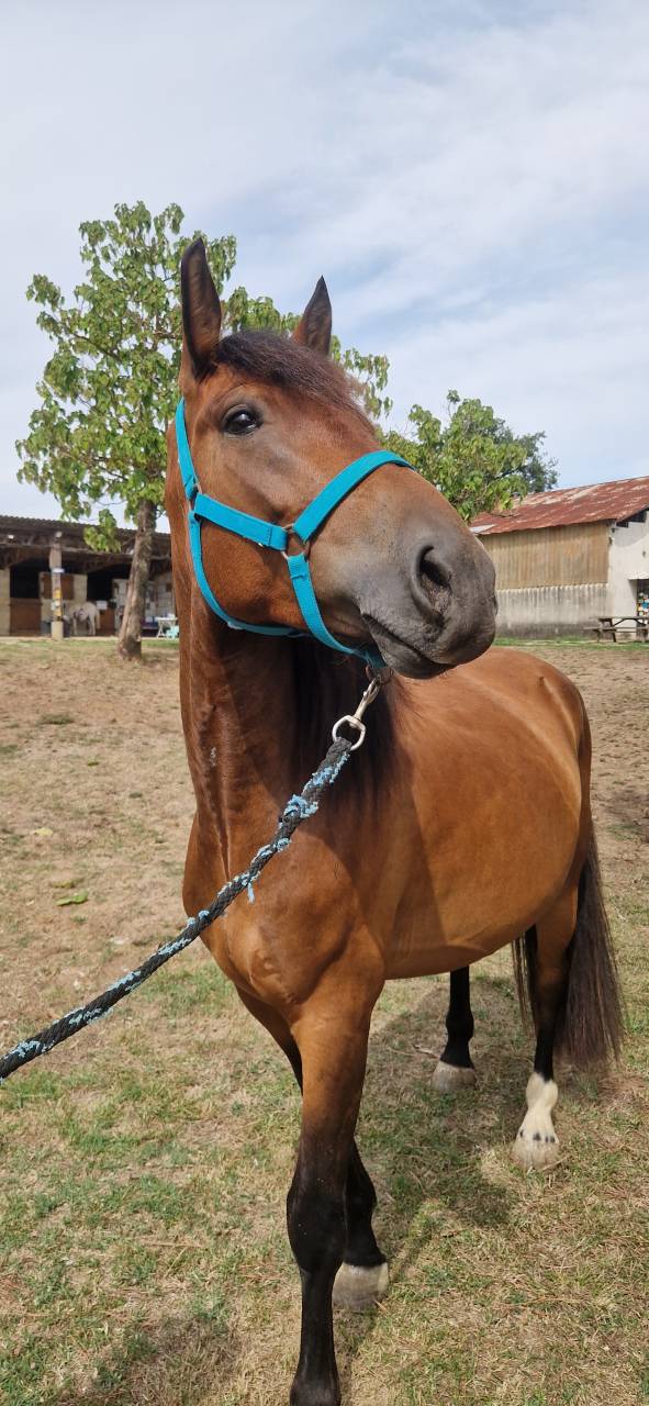 A vendre, Mahory