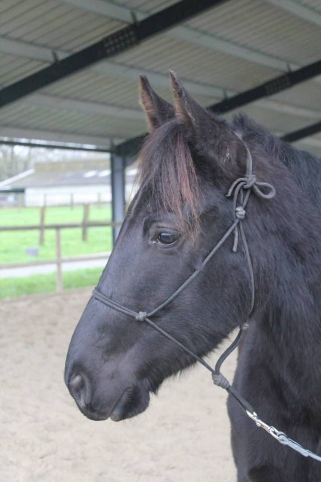 Gentil 4ans