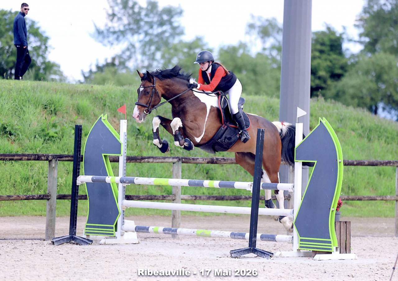 cheval de sport 