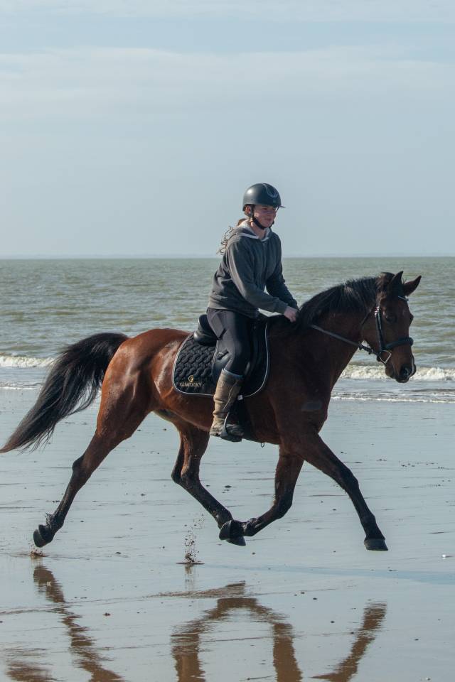 Guyane - trotteuse de 10ans