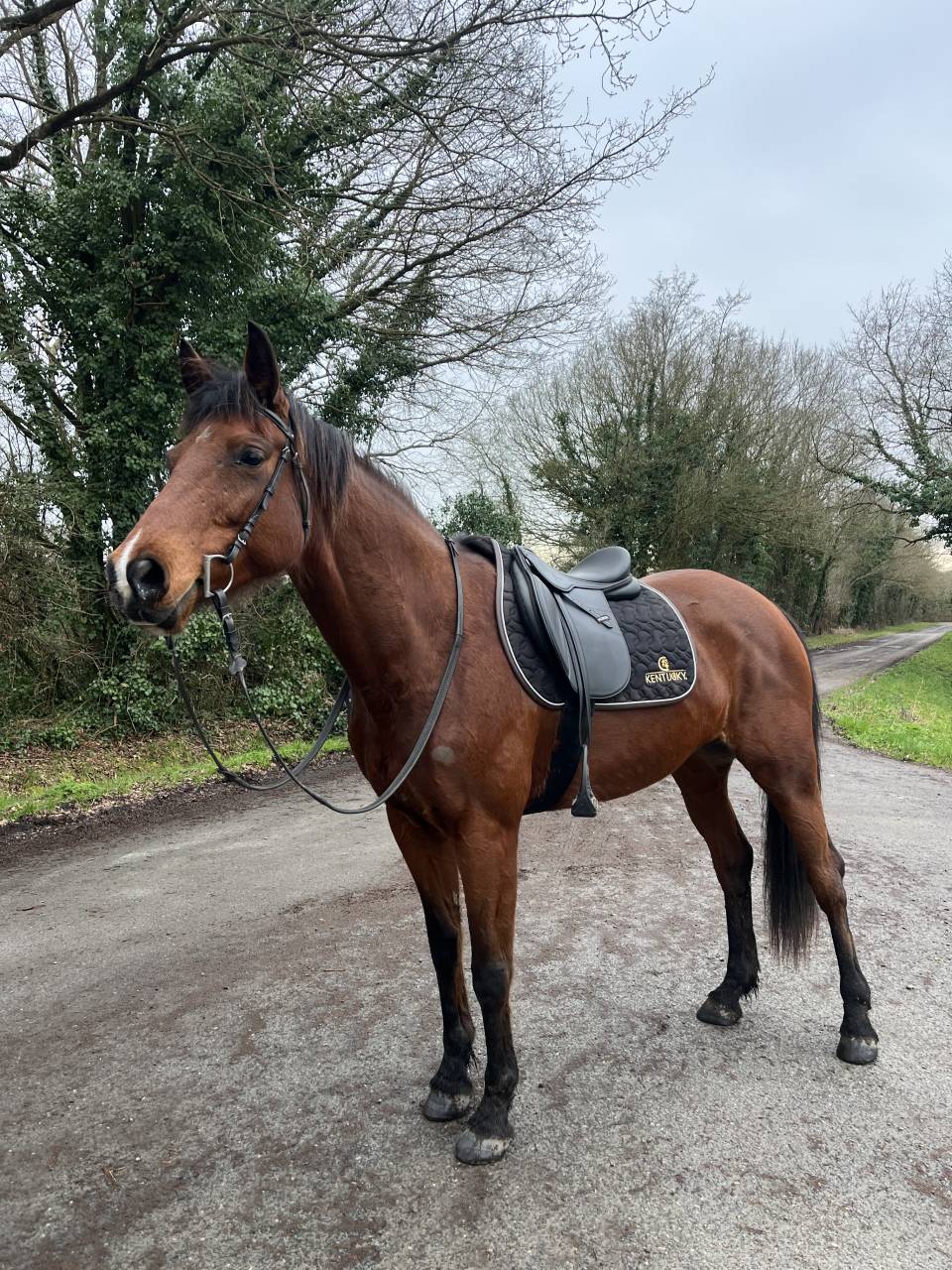 Guyane - trotteuse de 10ans