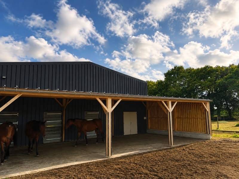 Pension chevaux h&eacute;nansal 