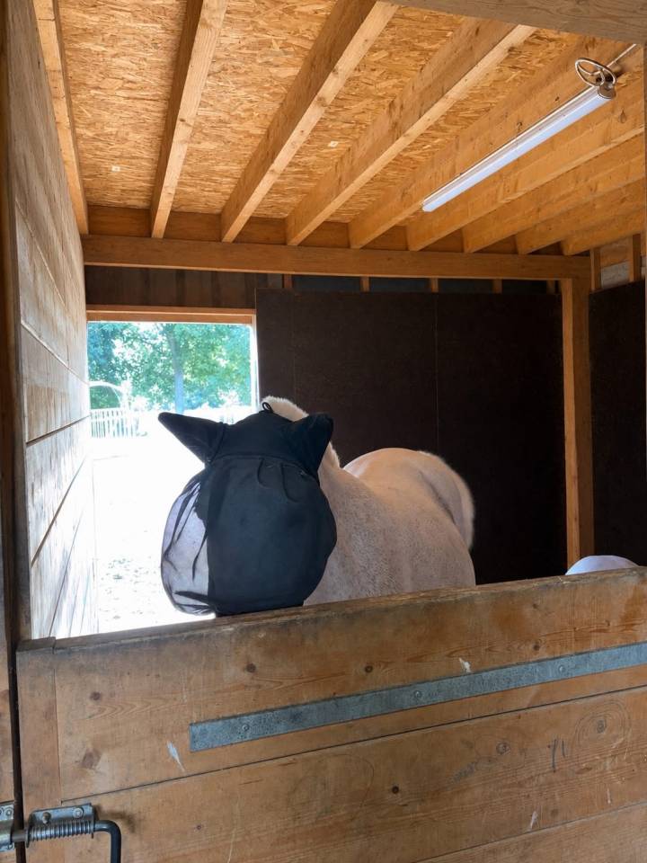 Pension chevaux h&eacute;nansal 