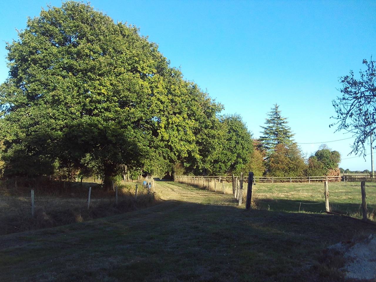 Propri&eacute;t&eacute; &eacute;questre Sud Mayenne 9ha 
