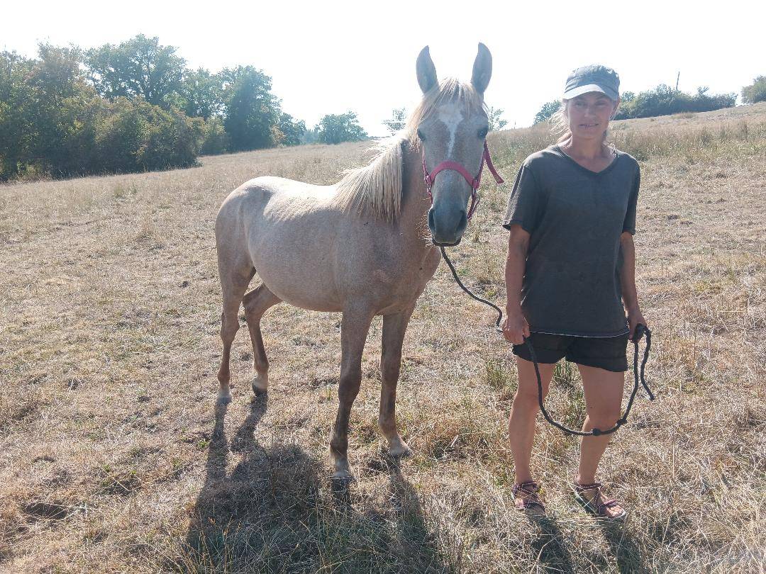 Pouliche apaloosa crois&eacute; poney fran&ccedil;ais de selle-arabe