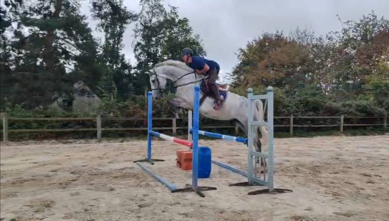 Beau SF de 8 ans 