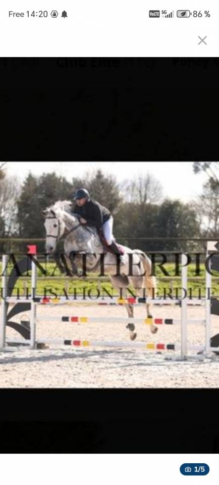 Beau SF de 8 ans 