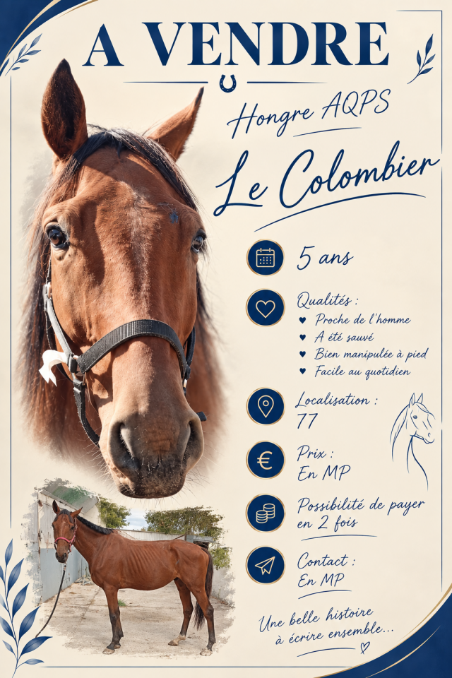 ? &Agrave; vendre &ndash; Le Colombier 