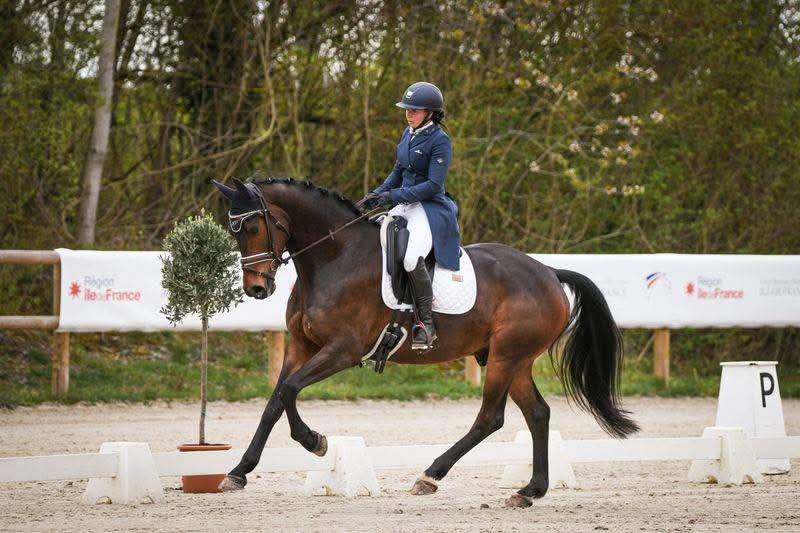 Enseignante d&rsquo;&eacute;quitation &ndash;Responsable de structure