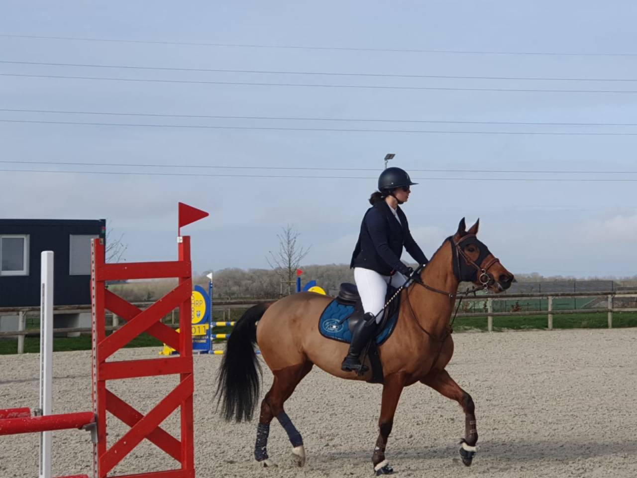Poney avec de bonne allure et bon coup de saut 