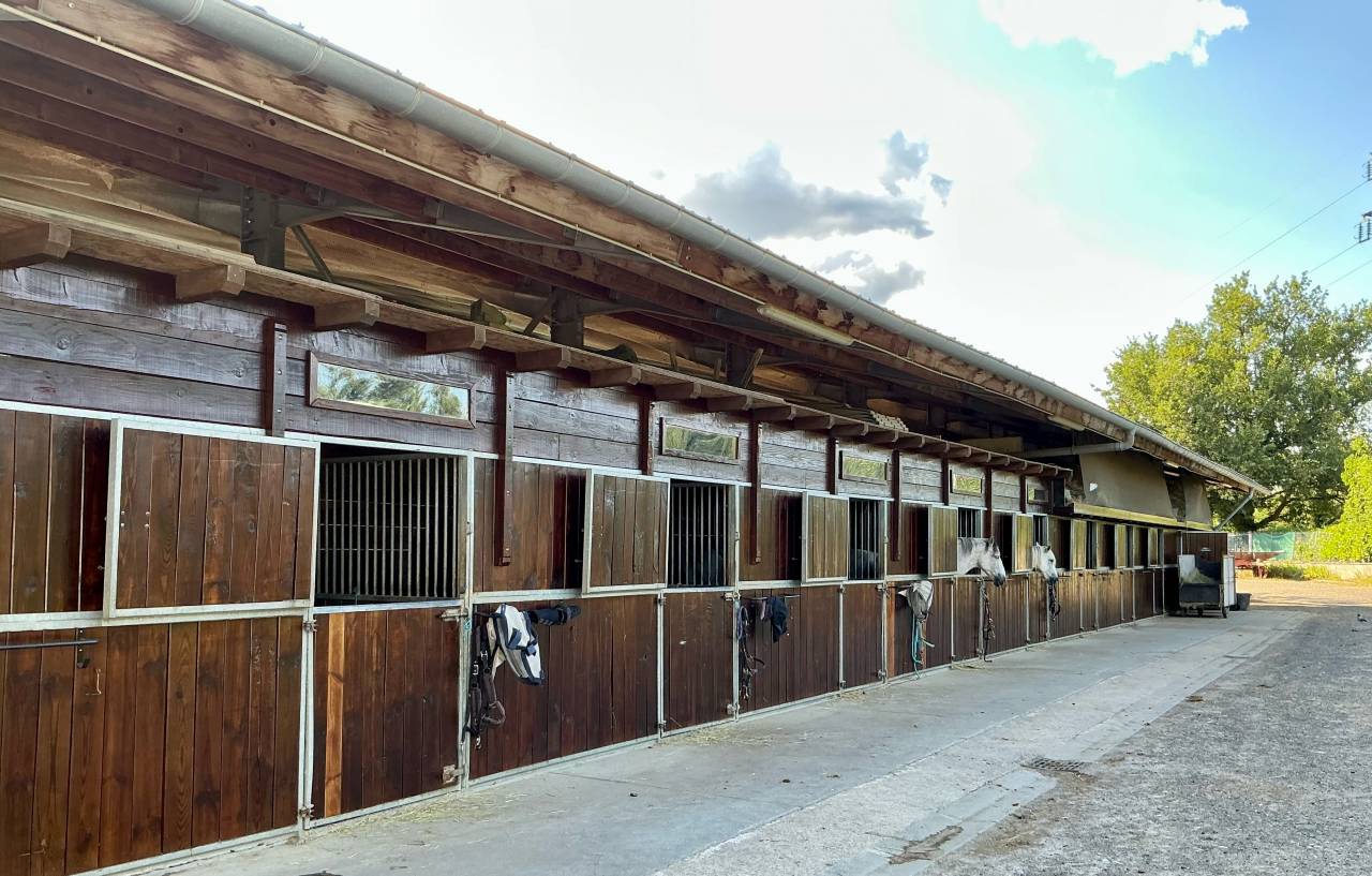 MONITEUR / MONITRICE D&rsquo;&Eacute;QUITATION