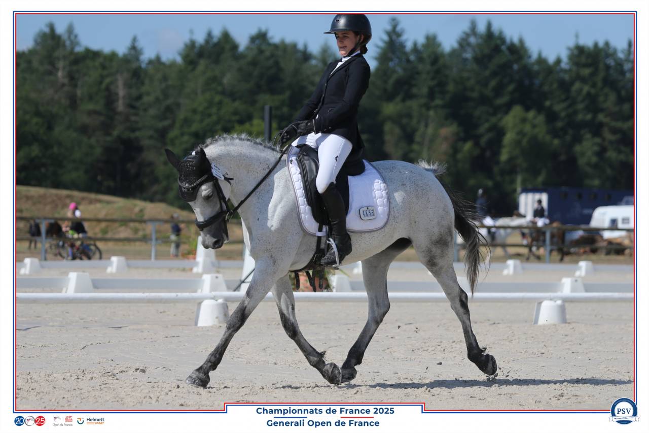 Ponette Polyvalente pour As CCE/CSO