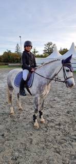? &Agrave; VENDRE - HELIOTT - Poney D de 1m47 - 9 ans?