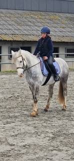 ? &Agrave; VENDRE - HELIOTT - Poney D de 1m47 - 9 ans?