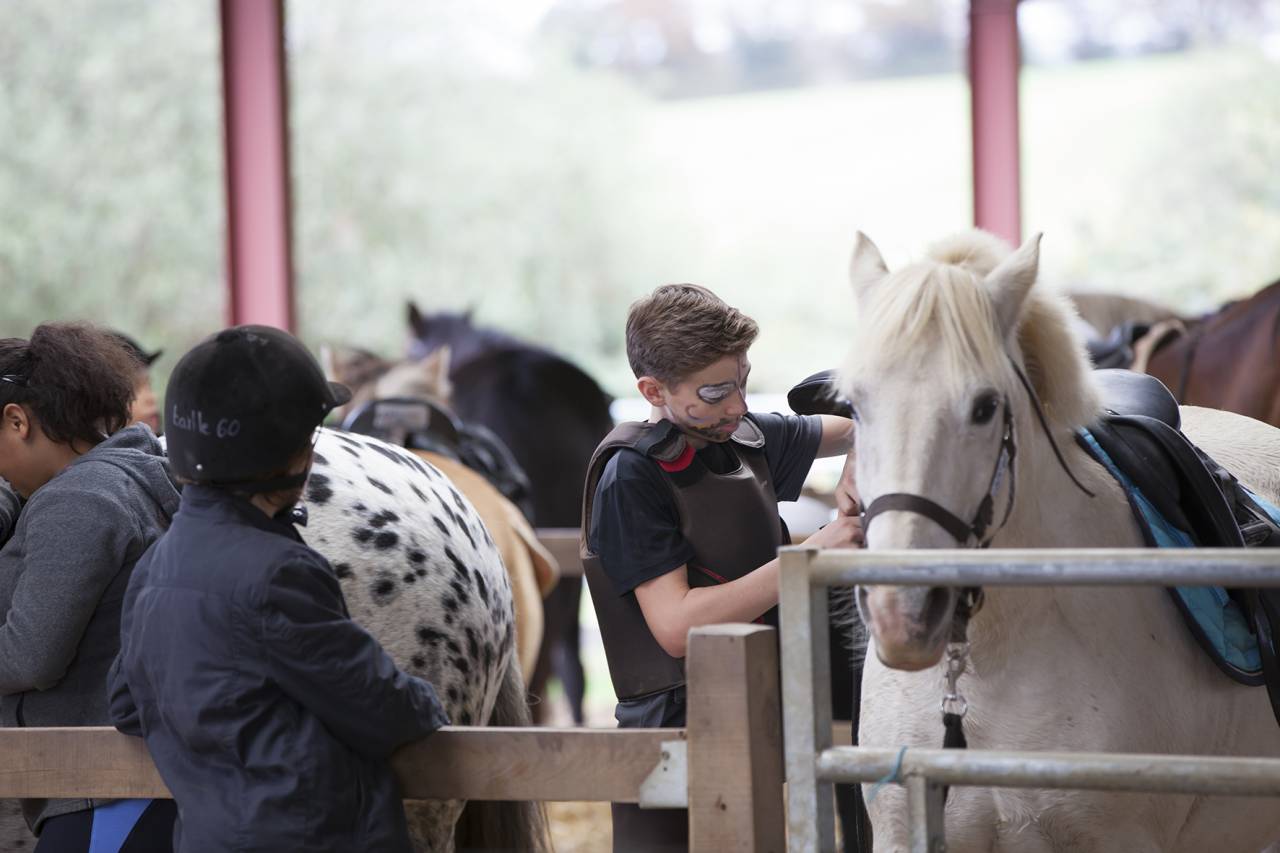 Enseignant / animateur d&rsquo;&eacute;quitation H/F