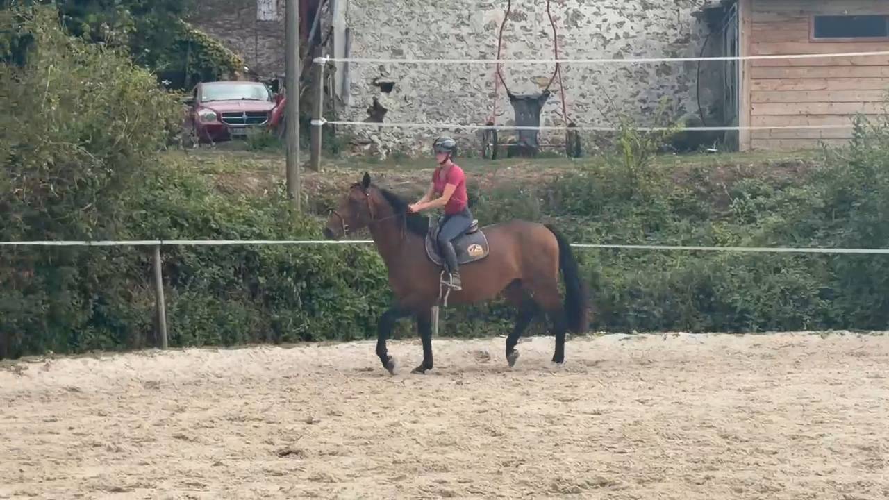 M&acirc;le de 3 ans 