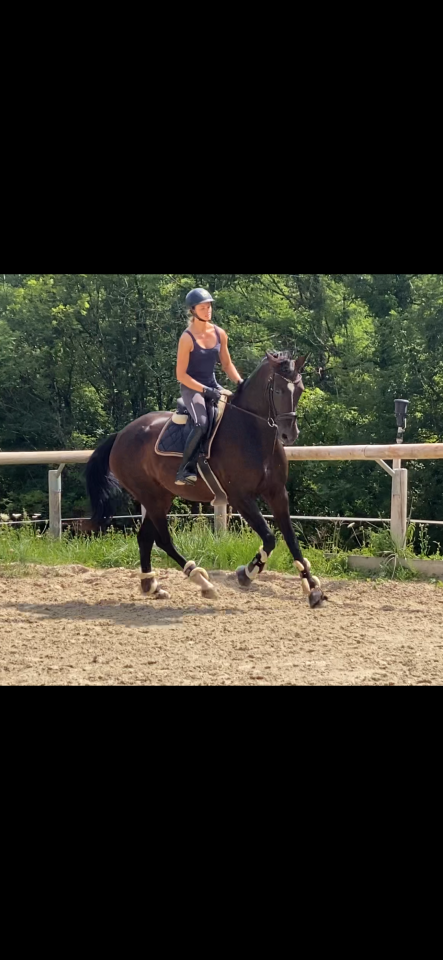 Magnifique jument 6 ans 