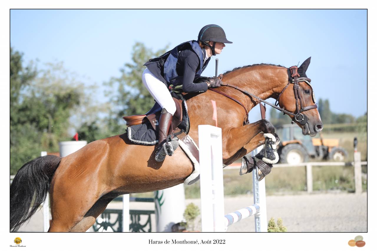 Cheval id&eacute;al pour Hunter ou cso