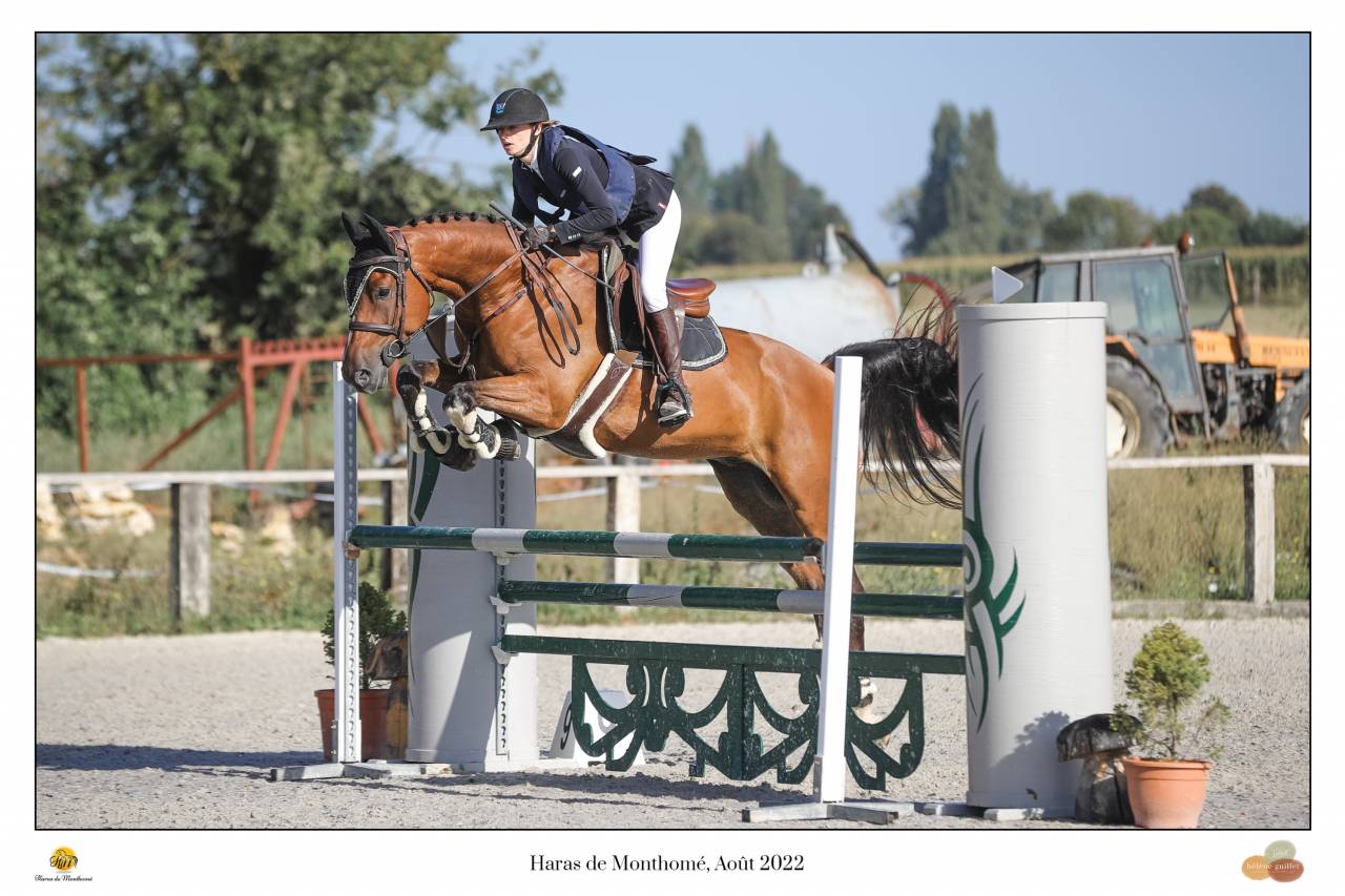 Cheval id&eacute;al pour Hunter ou cso