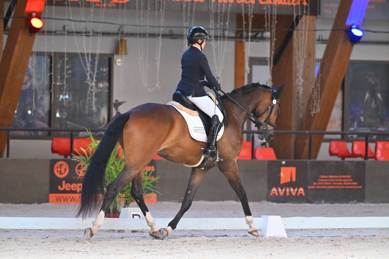 3 ans Dressage