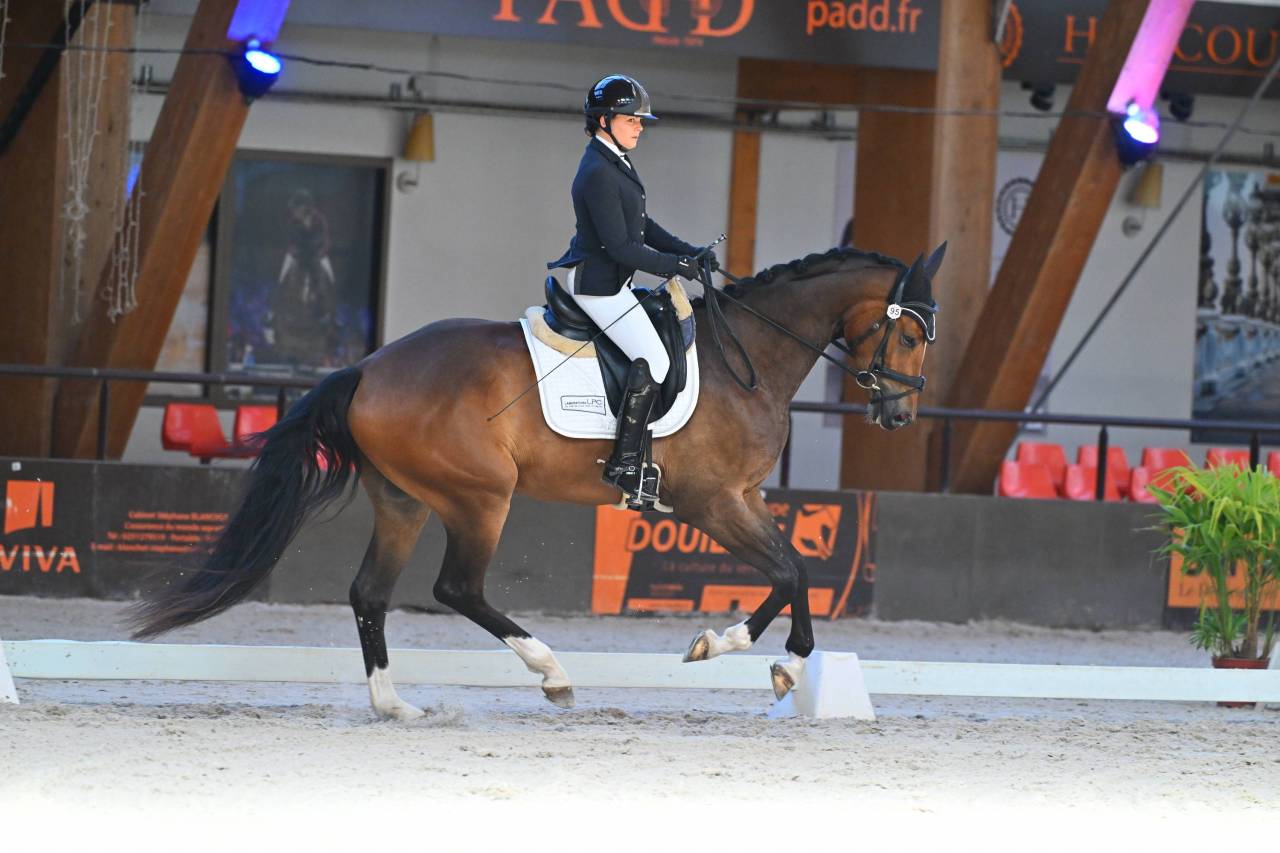 3 ans Dressage
