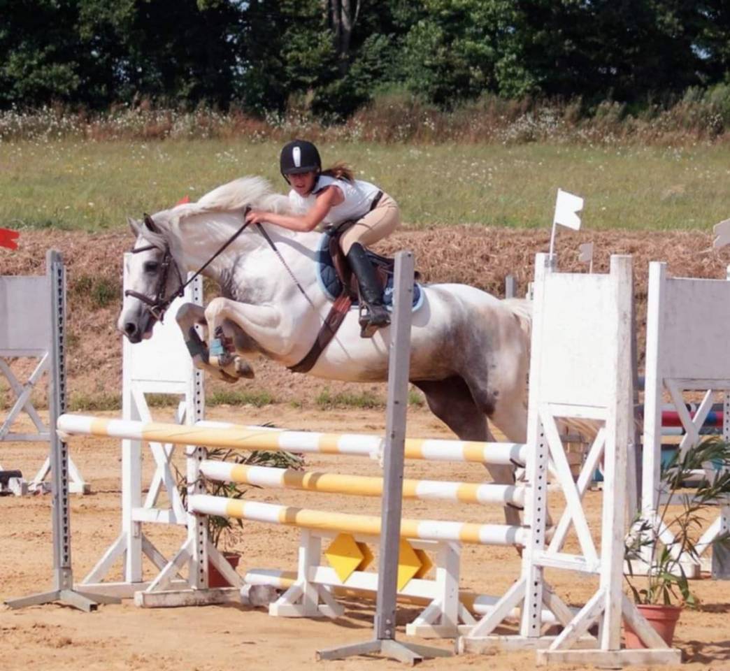 Plume de la Soie, Poulliche PFS Pie bai - 18 mois 