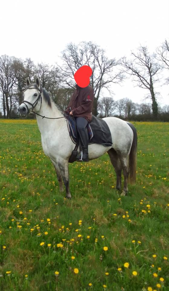 jument agr&eacute;able 11 ans