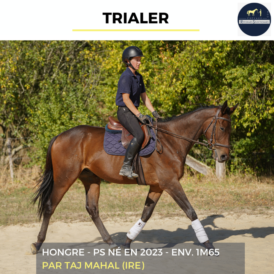 TRIALER - PS - 3 ANS