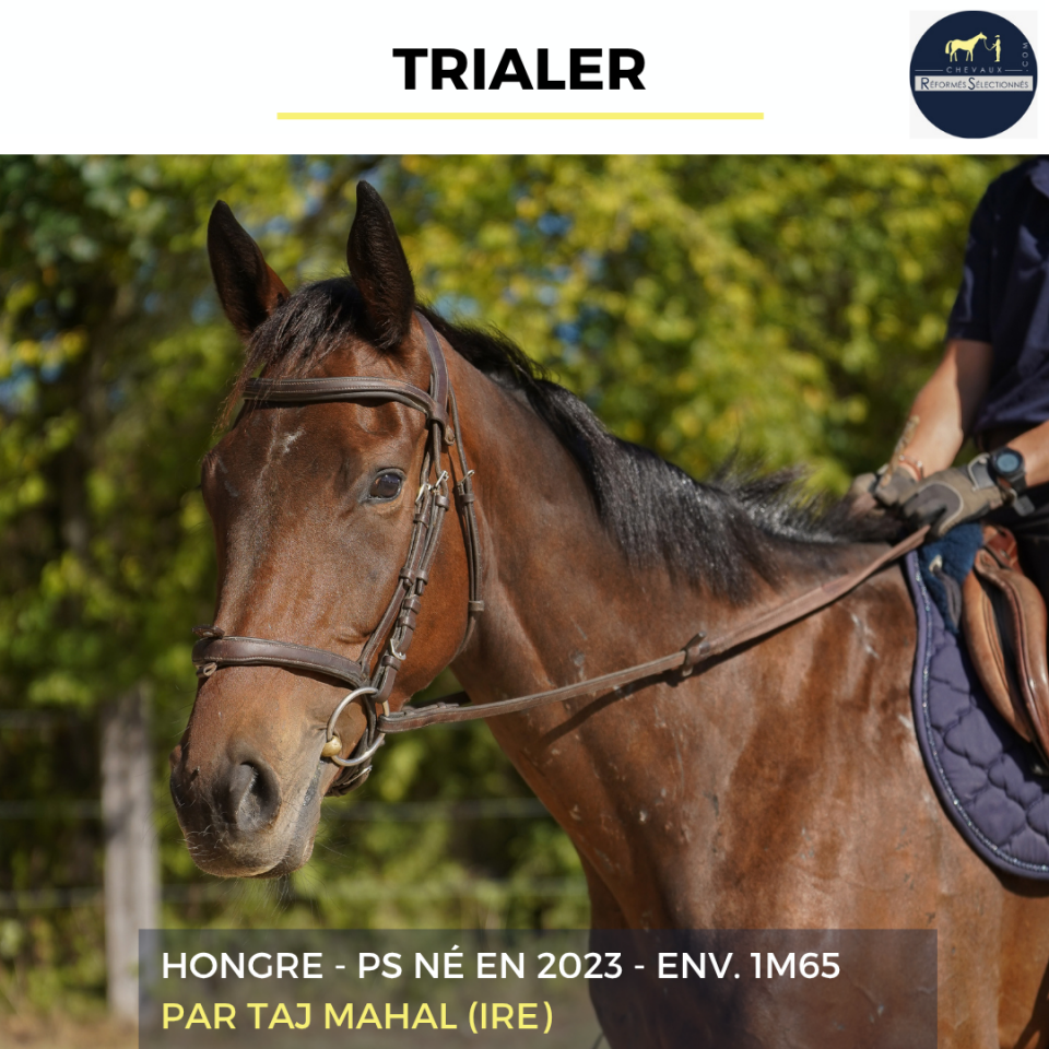 TRIALER - PS - 3 ANS