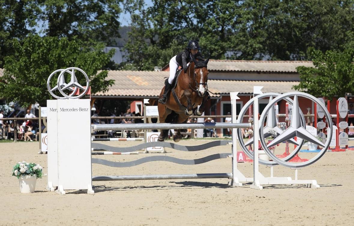 Hongre 15 ans gagnant 140 id&eacute;al amateur 