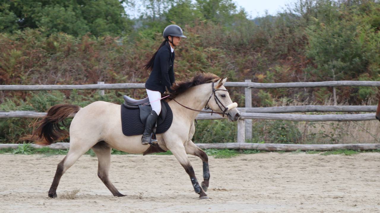 Ponette de CSO