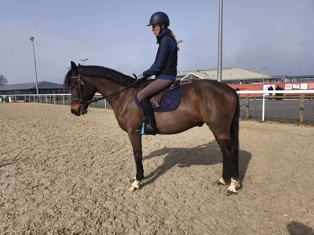 Poney de CSO 