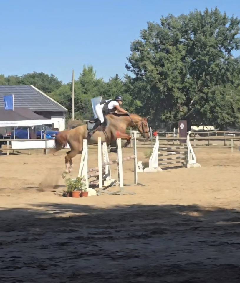 Jument cso