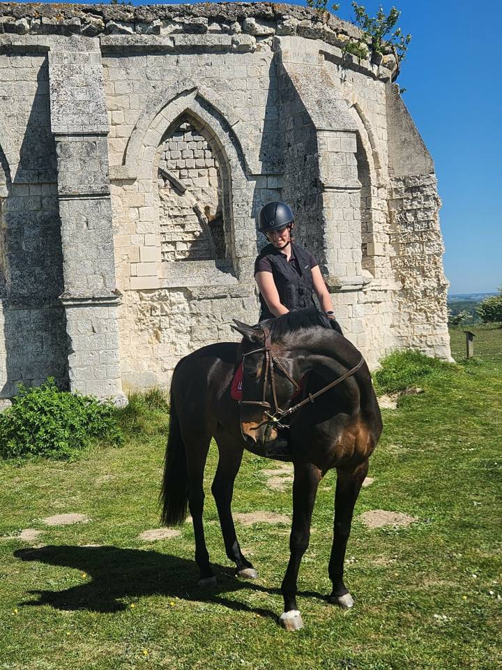 Cheval de loisir 
