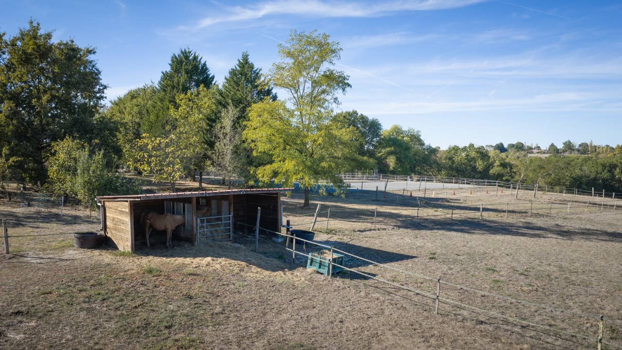 1026404_1790426340_5724.jpg